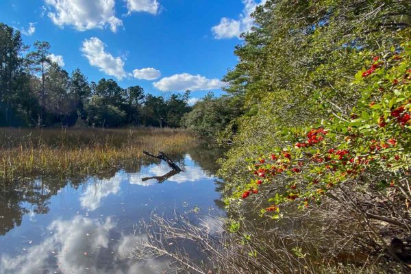 wadmalaw island waterfront lot longcreek 4625 lazy creek lane