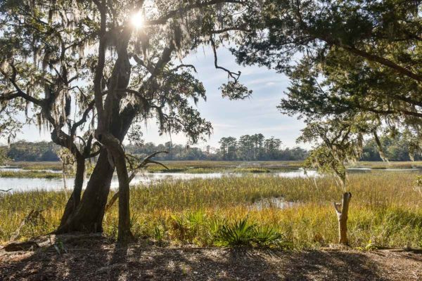 meggett waterfront property 5751 church flats road