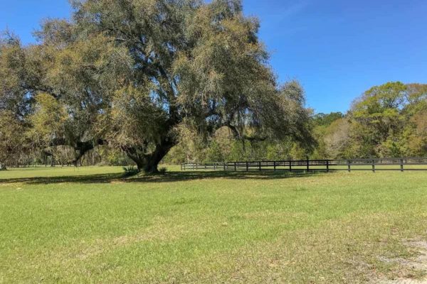 hunting property on wadmalaw island protected land in selkirk plantation 5881 bears bluff