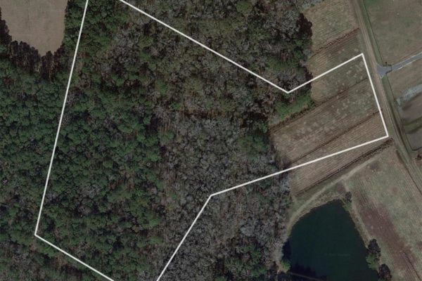 johns island acreage 6b breakaway trail