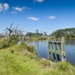 ACE Basin in South Carolina Waterfront Edisto Island Salt Point