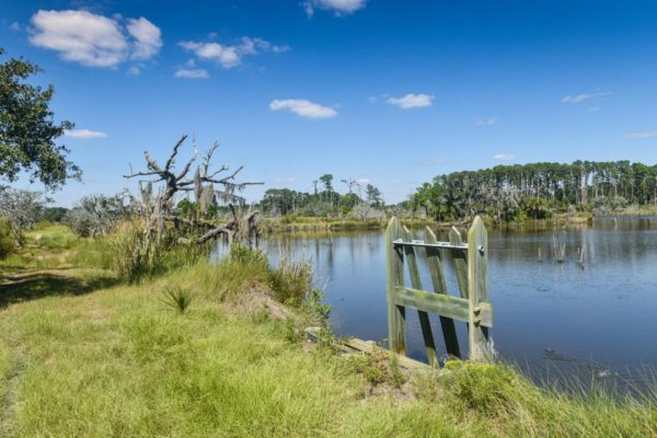 ACE Basin in South Carolina Waterfront Edisto Island Salt Point