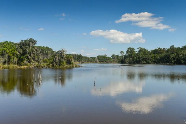 Waterfront Edisto Island Salt Point