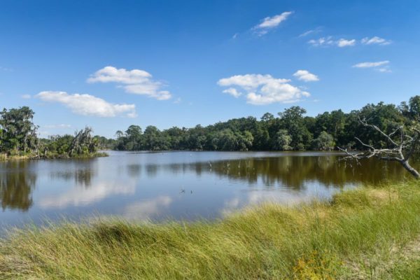 Waterfront Edisto Island Salt Point