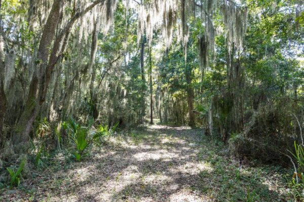 Waterfront Edisto Island Salt Point