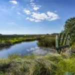 Waterfront Edisto Island Salt Point