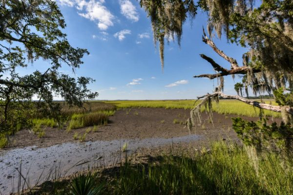 Waterfront Edisto Island Salt Point