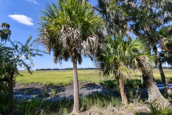 Waterfront Edisto Island Salt Point