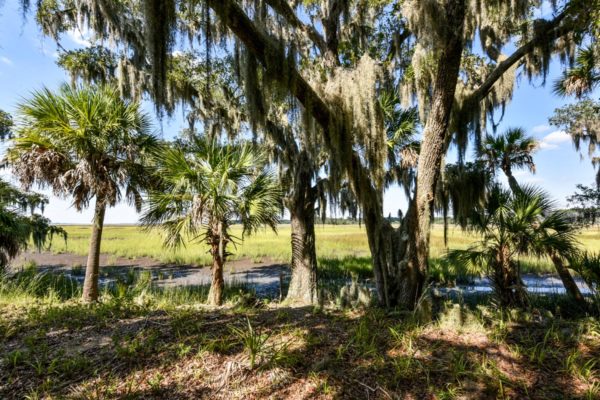 Waterfront Edisto Island Salt Point