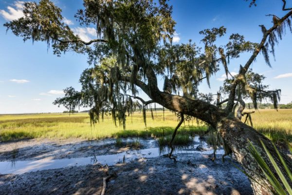 Waterfront Edisto Island Salt Point