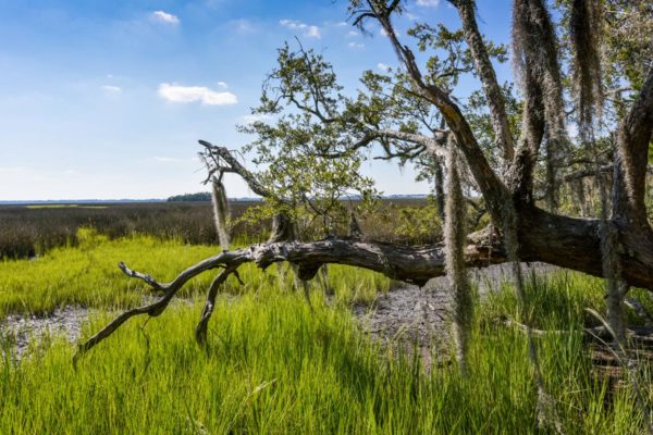 Waterfront Edisto Island Salt Point