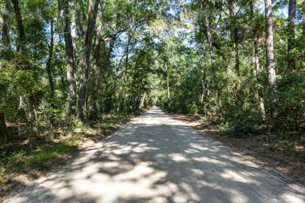 Waterfront Edisto Island Salt Point