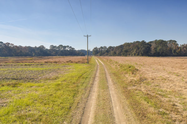 wadmalaw island farmland whaley farm mccants road rockville