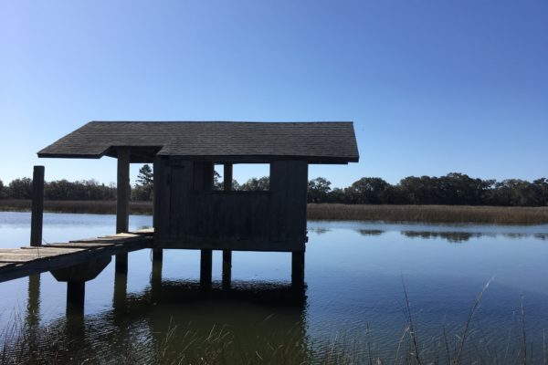 Johns Island Deep Water Lot 2421 Royal Oak Drive