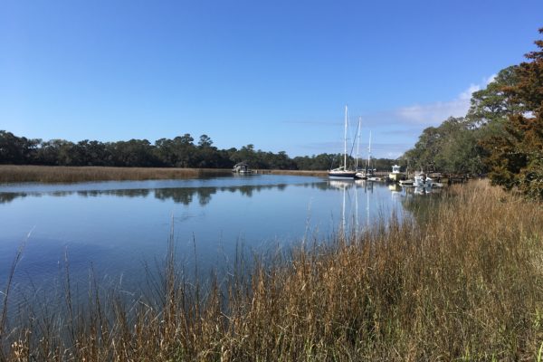 Johns Island Deep Water Lot 2421 Royal Oak Drive