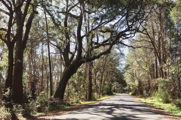 Johns Island Deep Water Lot 2421 Royal Oak Drive