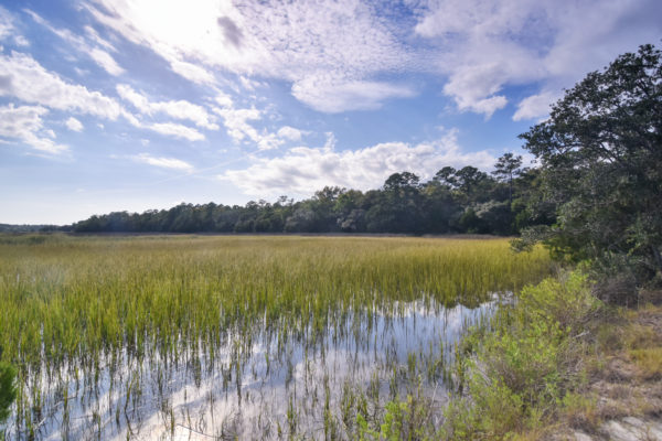 waterfront property mcclellanville 933 dupre road palmetto plantation