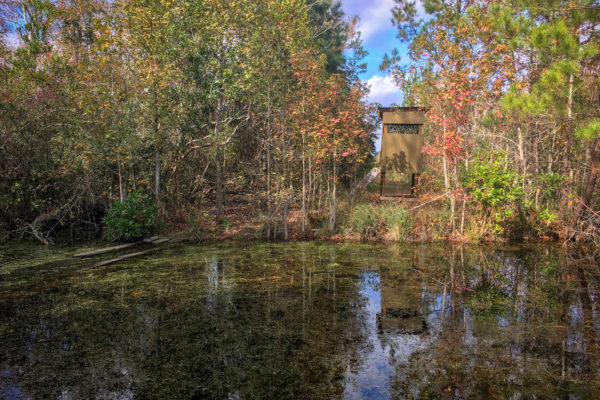 cross sc conservation property pigeon pond