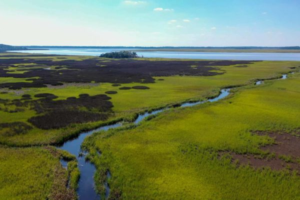 Waterfront Edisto Island Salt Point Conservation Property