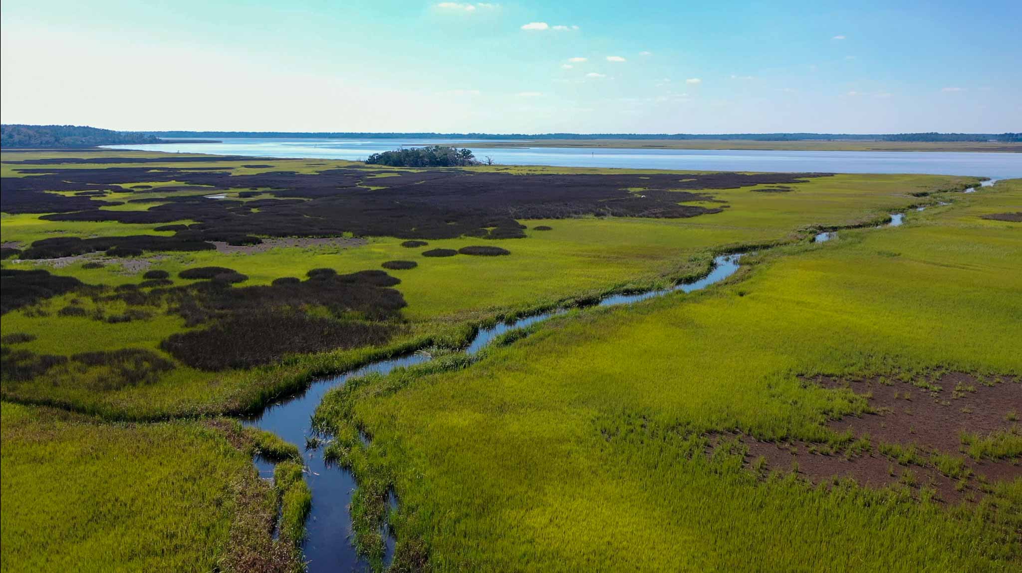 Waterfront Edisto Island Salt Point Conservation Property