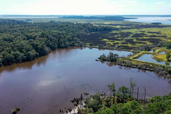 Edisto Island Waterfront Property Salt Point