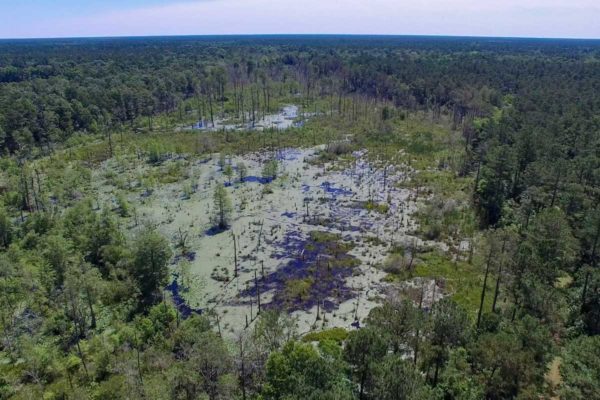 thornley tract berkeley county acreage