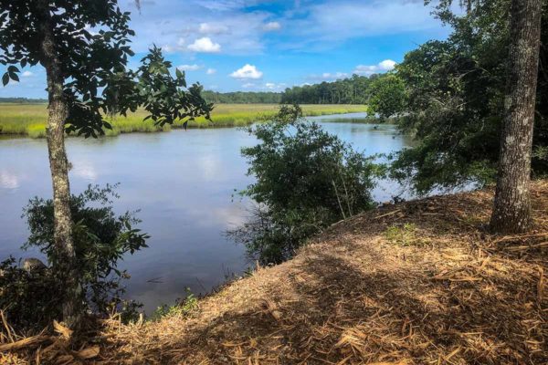 riverfront property green pond colleton county