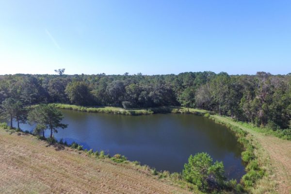 lot with a pond johns island 8 breakaway trail