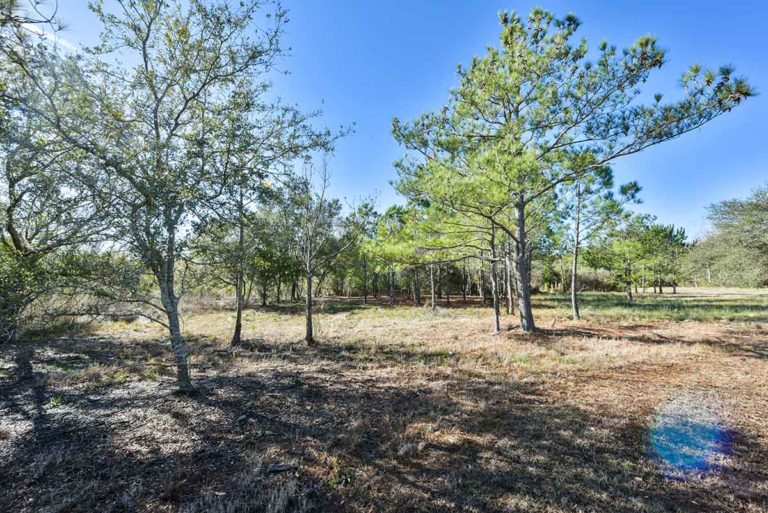 Coastal South Carolina Property for Sale Fair & Lane