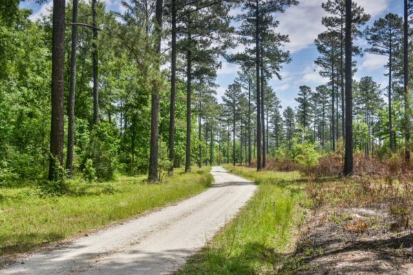 Rembert South Carolina 3000 Claremont Road Luxury Country Home