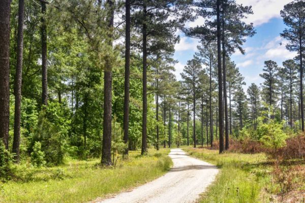 Rembert South Carolina 3000 Claremont Road Luxury Country Home