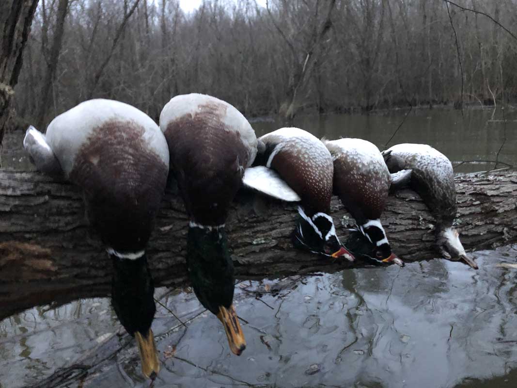 South Carolina Duck Hunting Property For Sale The Refuge 981 Acres