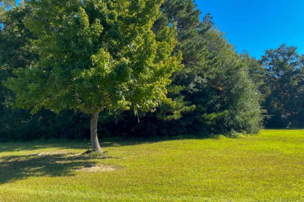 1 Acre on Wadmalaw 1644 Lonnie Taylor Lane