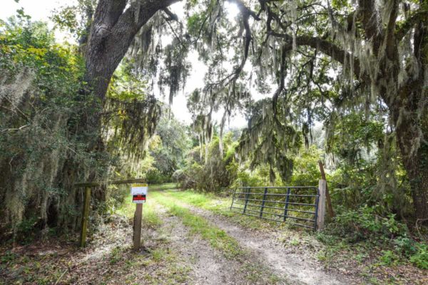 Black Pond Lane Wadmalaw