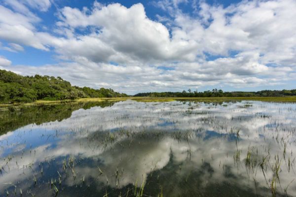 Black Pond Lane Wadmalaw