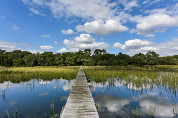 Black Pond Lane Wadmalaw