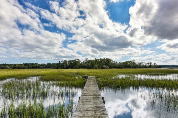 Black Pond Lane Wadmalaw