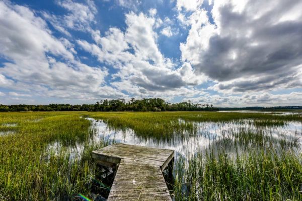 Black Pond Lane Wadmalaw