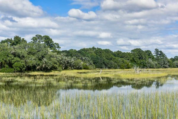 Black Pond Lane Wadmalaw