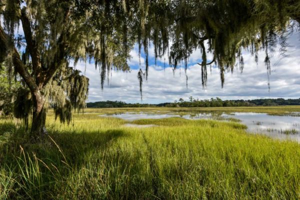 Wadmalaw Waterfront Acreage - Black Pond Lane Selkirk Plantation