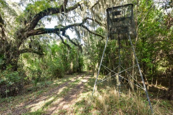 Black Pond Lane Wadmalaw