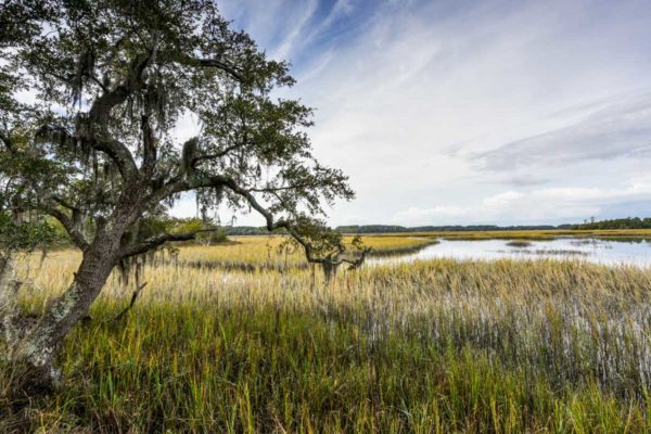 wadmalaw waterfront land allandale plantation road wadmalaw