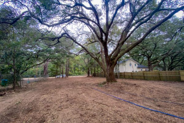 Land on Wadmalaw Island 2443 Marina Road