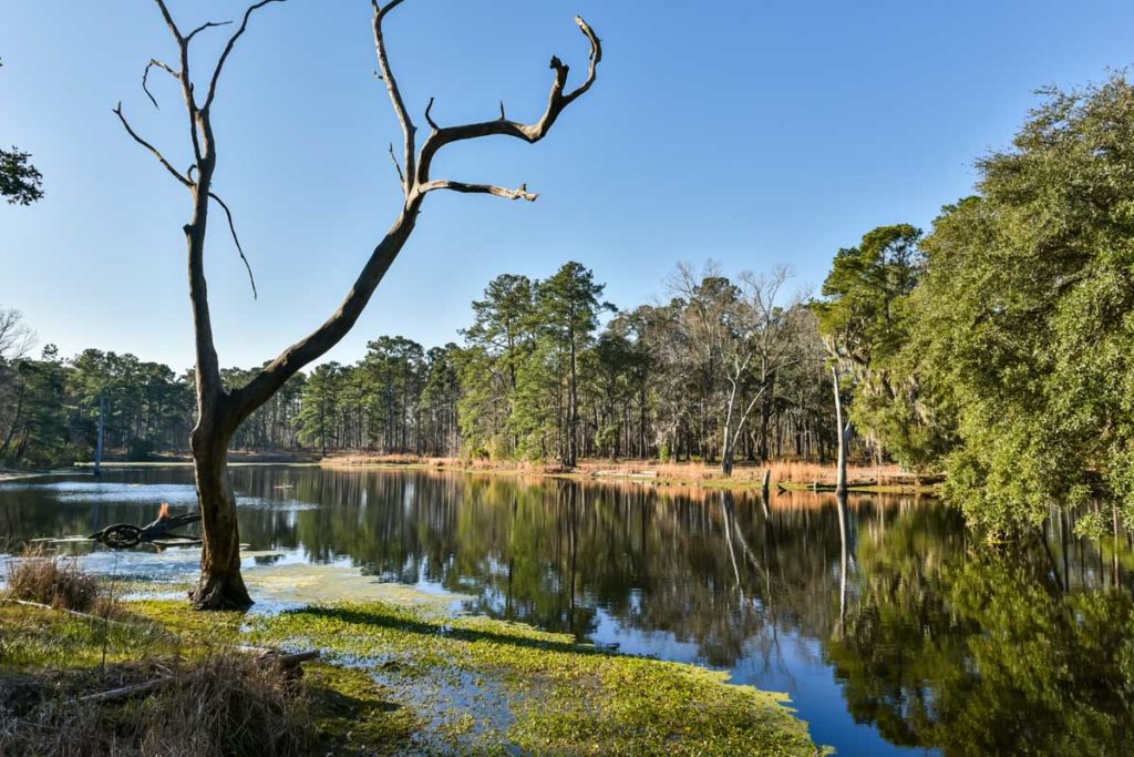 Conservation Easements | Holcombe, Fair & Lane