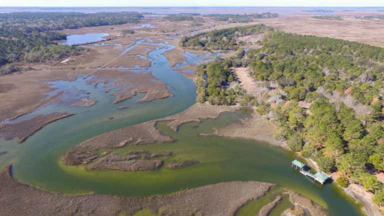 jehossee farms sc edisto island ace basin