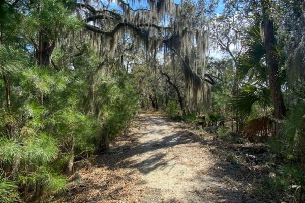 marshfront lot wadmalaw island 6026 admiral joseph blake lane