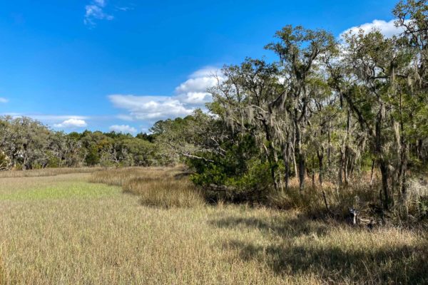 marshfront lot wadmalaw island 6026 admiral joseph blake lane