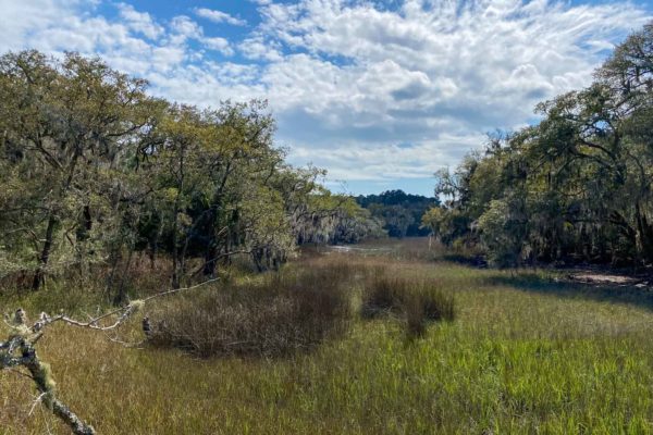 marshfront lot wadmalaw island 6026 admiral joseph blake lane