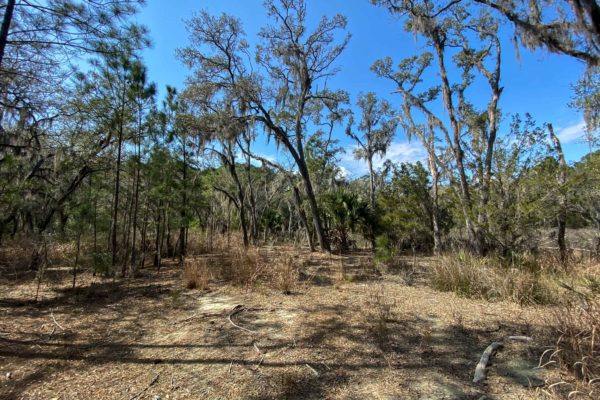 marshfront lot wadmalaw island 6026 admiral joseph blake lane