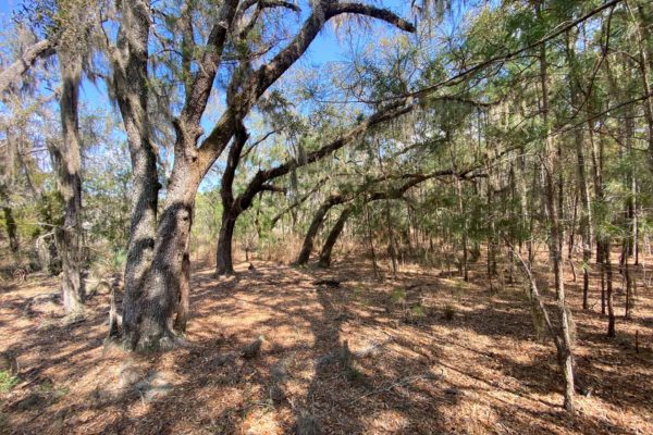 marshfront lot wadmalaw island 6026 admiral joseph blake lane